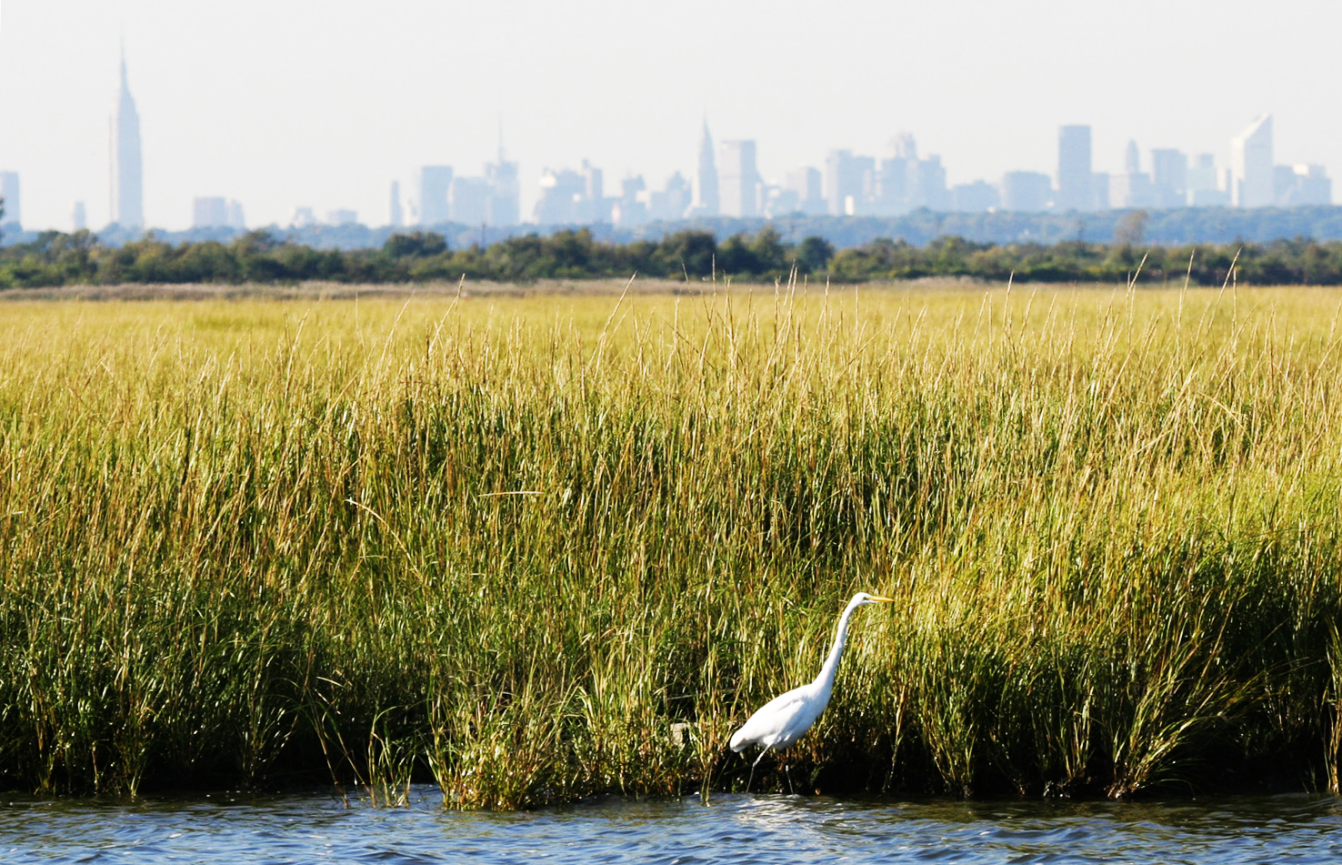 Jamaica Bay Wildlife Refuge